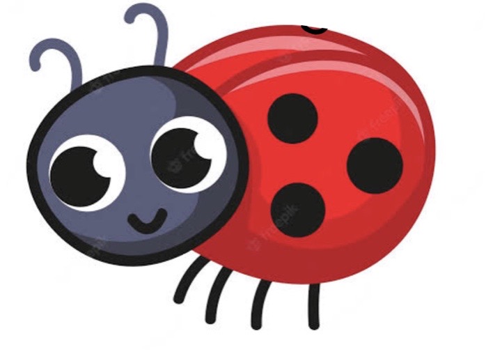 Image 2023-04-28 at 16.16