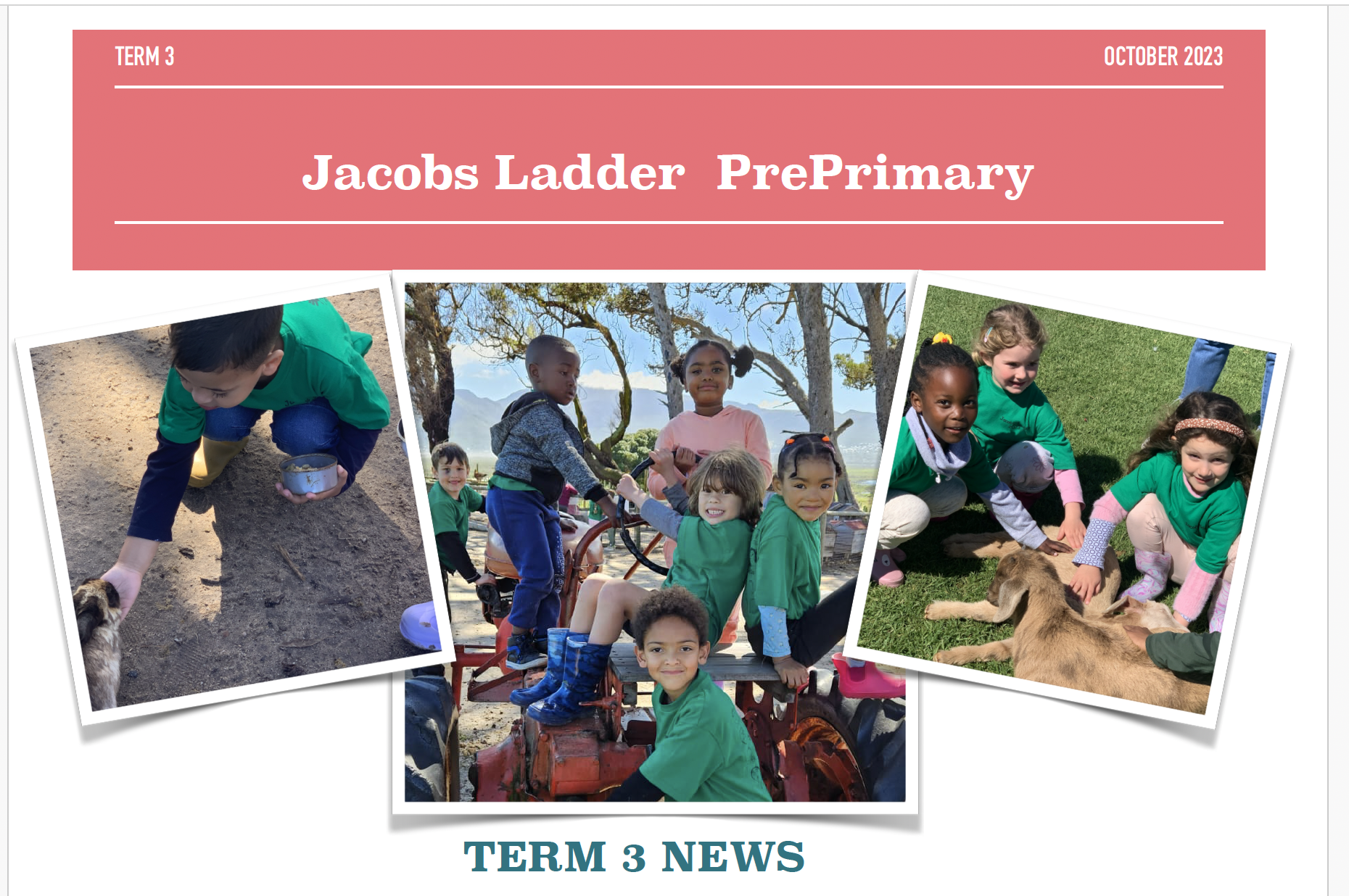 Screenshot 2024-02-26 at 13.17.22